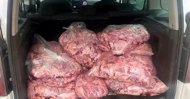 Jandarmanın durdurduğu araçtan 450 kilo bozulmuş et çıktı