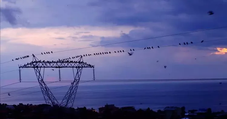 Elektrikte dev rakamlar: Üretim tüketimi solladı