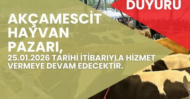 Hayvan pazarı 4 ay sonra yeniden hizmete açılacak Bartın Haberleri