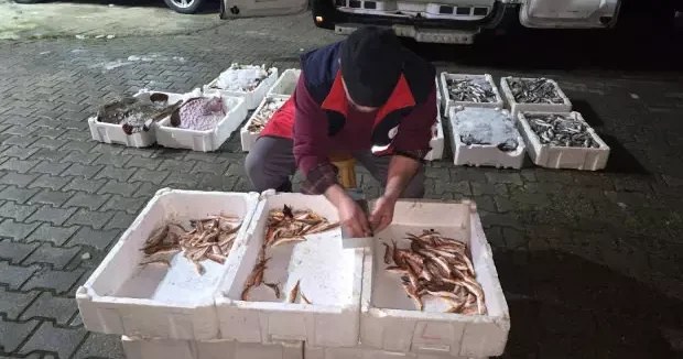 Kastamonu haberleri Balıkçının kabusu gerçek oldu! Kastamonu da ekipler teker teker ölçtü 24 Ocak 2026