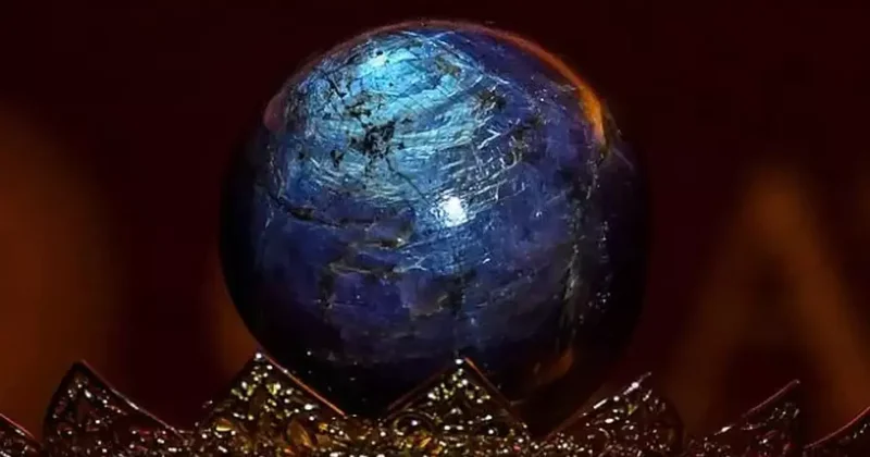 Türünün tek örneği dediler! Bir avuç kadar ama değeri 300 milyon doları aşıyor!