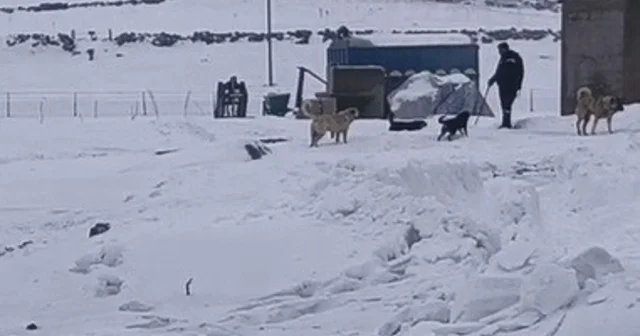 Kars ın soğuğunda enerji mesaisi: Aras Edaş ekiplerinin soğukla imtihanı Kars Haberleri