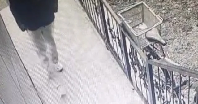 Kütahya da gündüz vakti bisiklet hırsızlığı kamerada Kütahya Haberleri