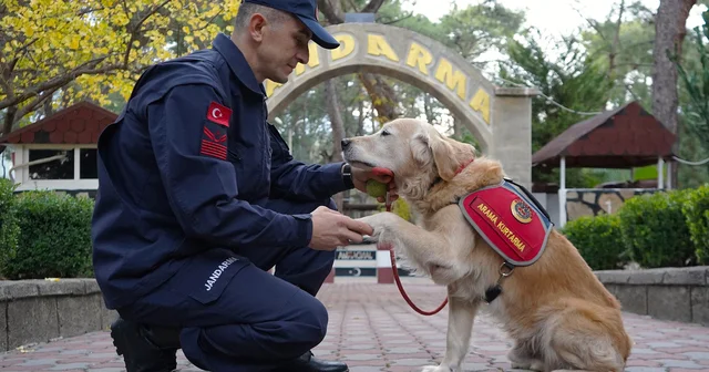 JAK köpeği Ocak , 8 yılda 48 can kurtardı Antalya Haberleri