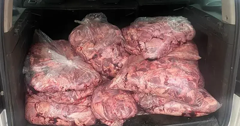 Hafif ticari araçta 450 kilo bozuk et ele geçirildi
