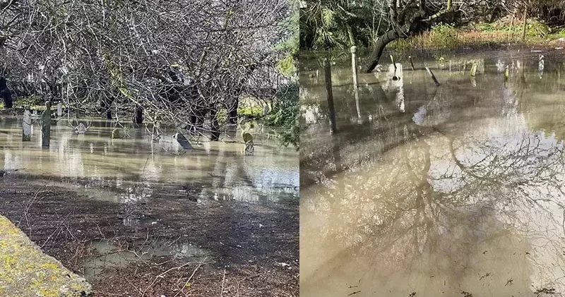 Çeşme de sağanak etkili oldu; pazaryeri ve mezarlık su altında kaldı