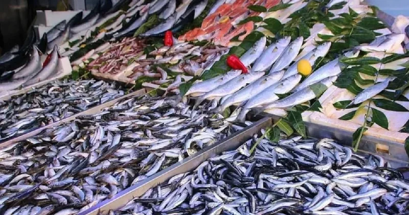 Üç tarafımız deniz ama gerçek çok farklı: İşte dünyanın en çok balık yiyen ülkesi Sözcü Gazetesi