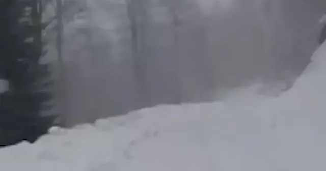 Yedigöller Milli Parkı yolu beyaza büründü VİDEO İZLE