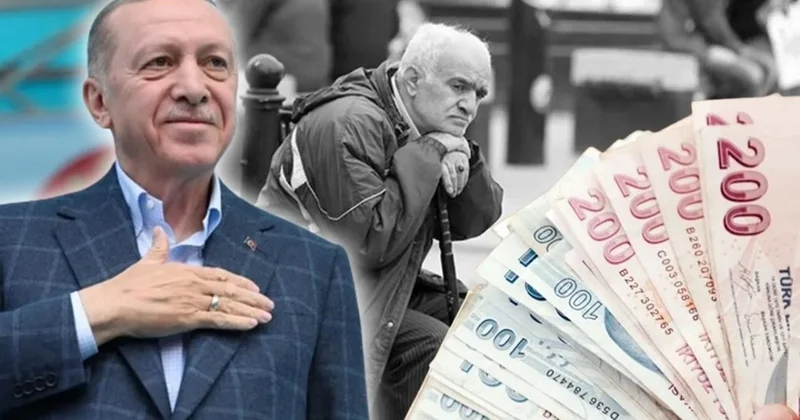 AKP de sandık korkusu: Kararı Erdoğan verecek, iki ihtimal var Sözcü Gazetesi