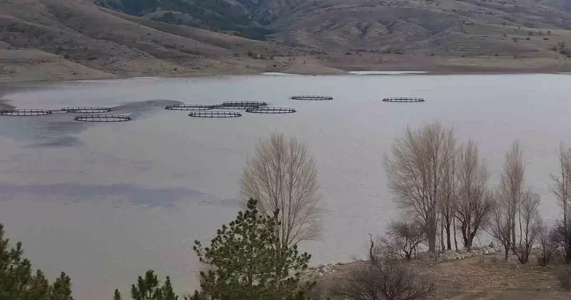 Kurumaya yüz tutmuştu! O barajda doluluk oranı yüzde 50 seviyelerine yaklaştı