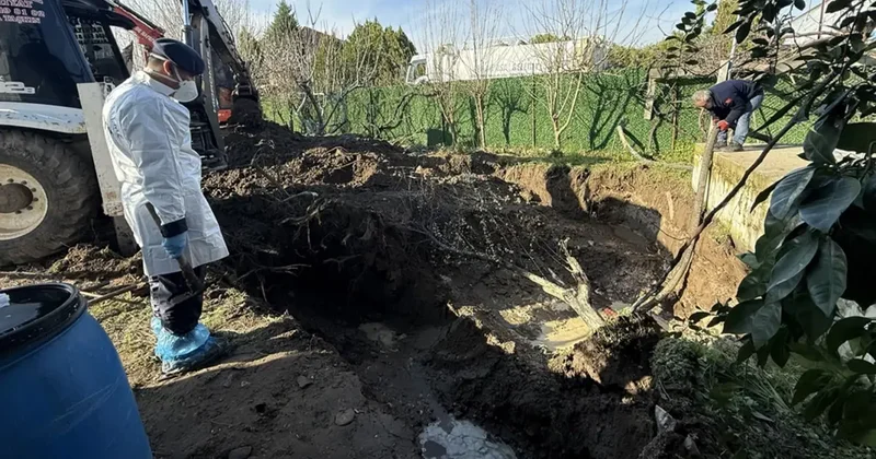 Yasak aşka aile içi infaz 17 yıl sonra gelen kan donduran itirafla ortaya çıktı