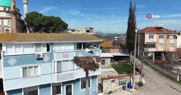 Leylek köyünde büyük sevinç: Eşi geldi, herkes Yaren i bekliyor