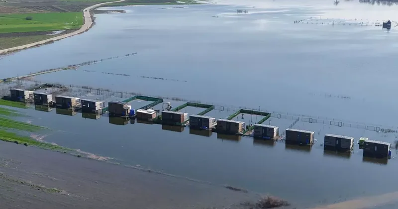 Yasak dinlemeyip ovaya bungalov yaptılar, gölün ortasında kala kaldılar