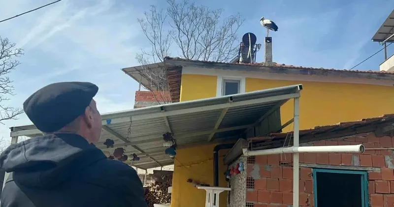 Yaren Leylek in Eşi Erken Geldi