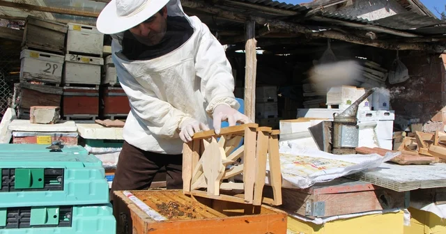Bu seçimde kazananı arılar belirleyecek Petekleri partilerin amblemiyle şekillendirip arılar arasında yarış başlattı Amasya Haberleri