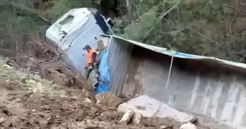 Kontrolden çıkan tır ormana devrildi: Sürücü ölümden döndü Muğla Haberleri