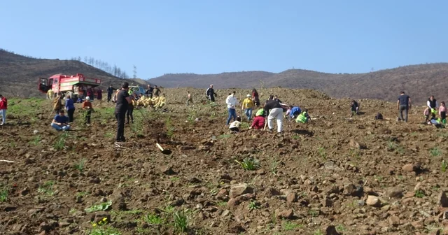 Hatay da orman yangınından zarar gören alanlarda 5 bin fidan toprakla buluşturuldu Hatay Haberleri