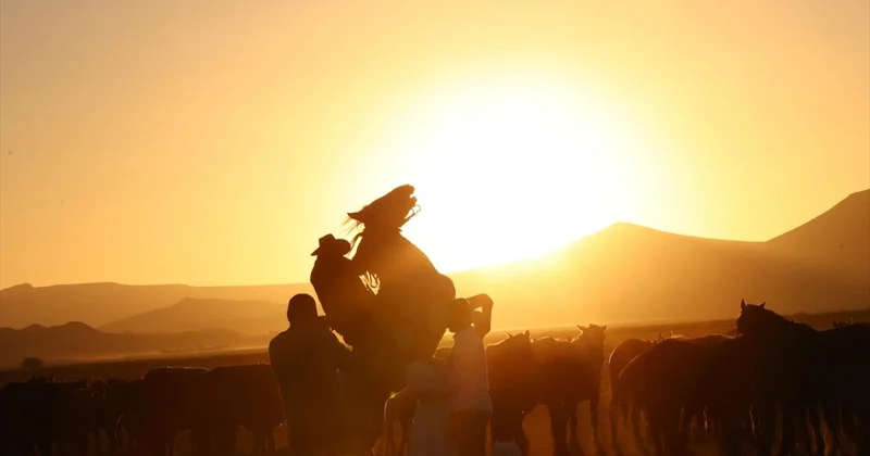 Atlar aynı anda hem kişneyip hem ıslık çalıyor