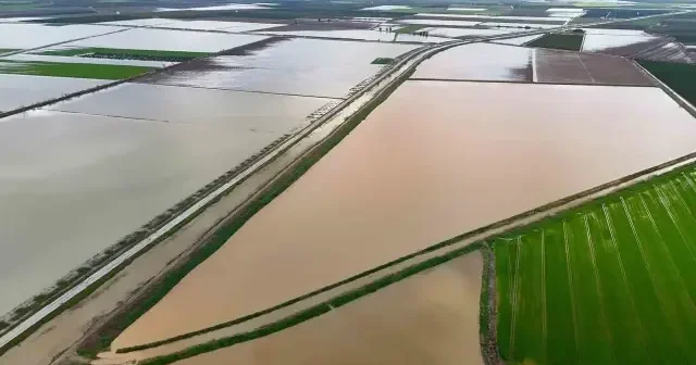 Çukurova yı yağmur vurdu: Tarım arazileri sular altında VİDEO İZLE