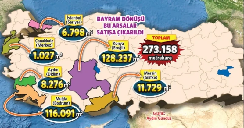 İktidar ormanı ‘çalılık’ diyerek satışa çıkardı Sözcü Gazetesi