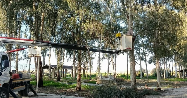 Tepecik Mesire Alanı yenileniyor Aydın Haberleri