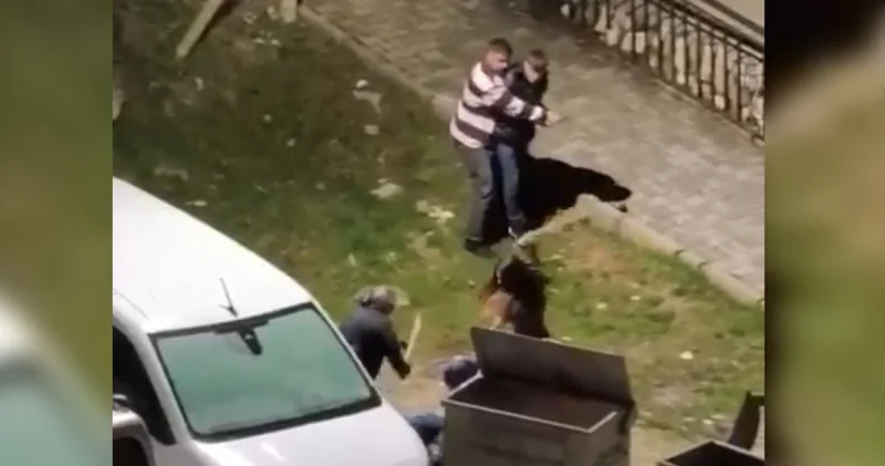 Eski eşinin komşuları sopayla dövdü! Son dakika haberleri