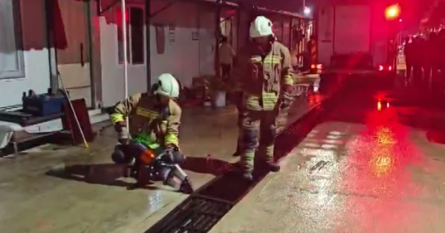 Mazgalda mahsur kalan kedi ve yavruları kurtarıldı Hatay Haberleri