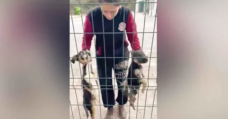 Barınaktaki ihmale soruşturma