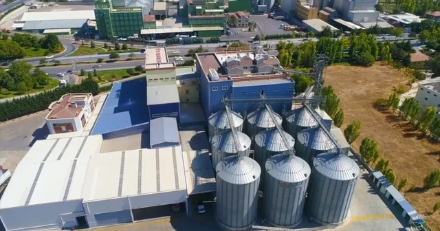 Türkiye nin yeni ekmeği Konya da geliştirildi Konya Haberleri