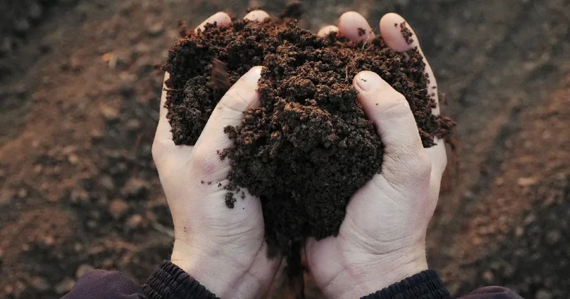 DMM den gübre ve gıda krizi haberlerine açıklama