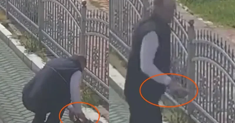 Kocaeli de tramvay hattında sevgi dolu duraklama: Vatmandan kaplumbağaya yardım eli