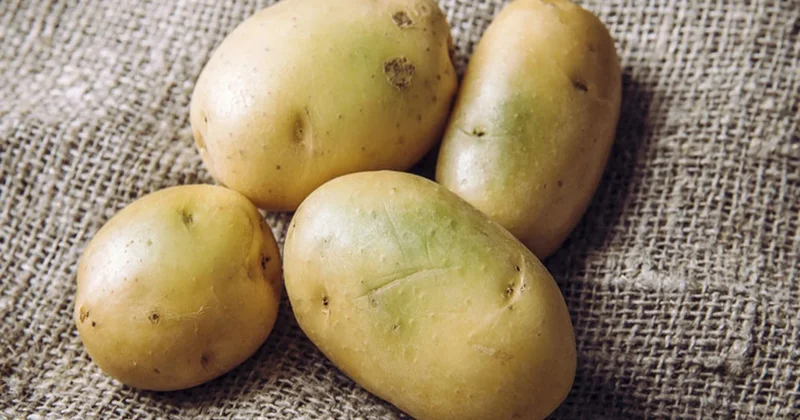 Tek malzemeyle aylarca taze kalacak: Patates masrafını bitiren tüyonun sırrı çözüldü Sözcü Gazetesi