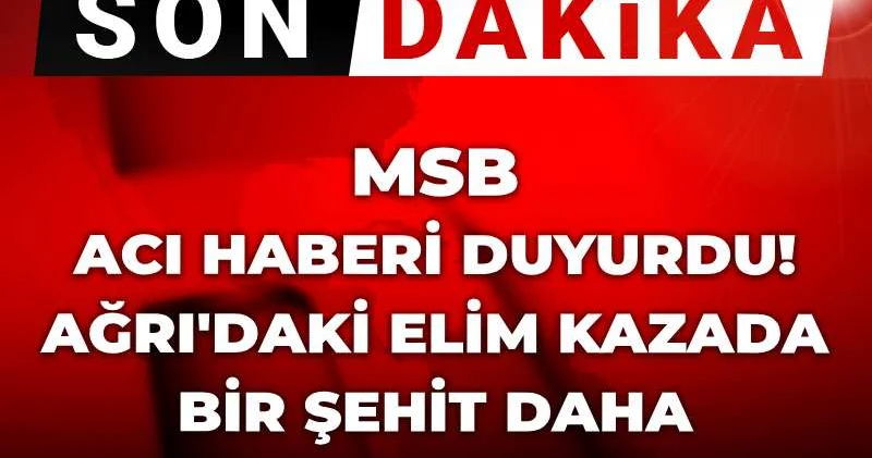 Son dakika MSB acı haberi duyurdu! Ağrı daki elim kazada bir şehit daha