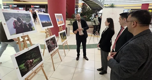 Uluslararası Tarım, Orman ve İnsan Fotoğraf Sergisi Kütahya da açıldı Kütahya Haberleri