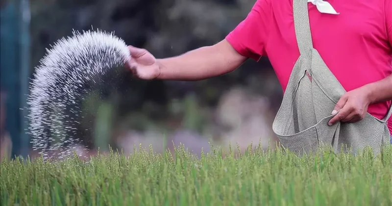 Türkiye de gübre krizi iddiasına DMM den açıklama geldi