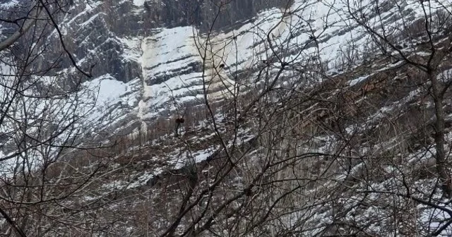 Kar kütlesi şelale gibi aktı Şırnak Haberleri