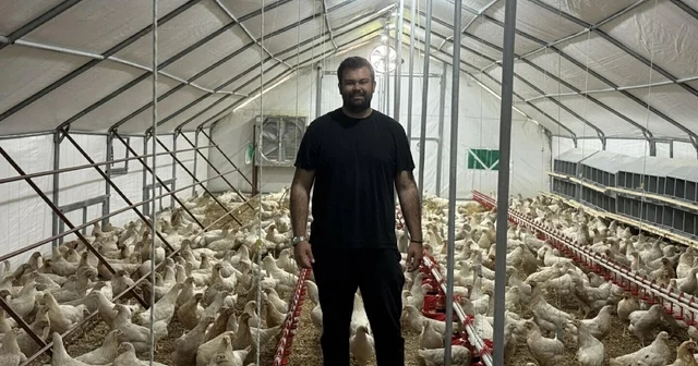 Otomobilini satıp hayali olan tavuk çiftliğini kurdu Muğla Haberleri