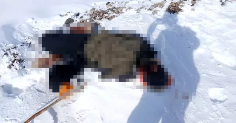 Başkale de Ceset Bulundu