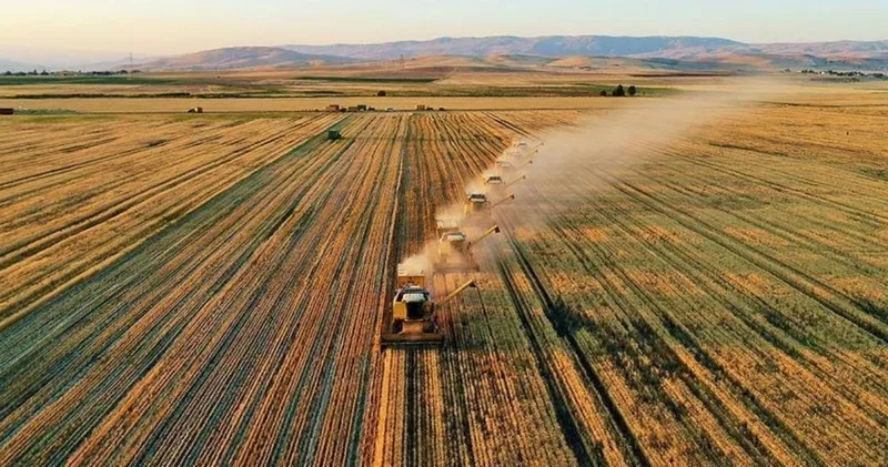 TMO raporu 66 yılın rekor kıran müjdesini verdi: Gökten bereket yağdı