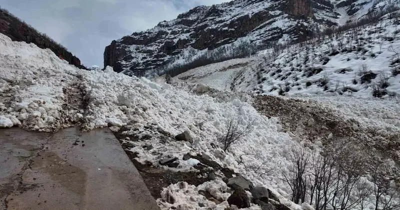 Şırnak’a son dönemlerin en büyük çığı düştü