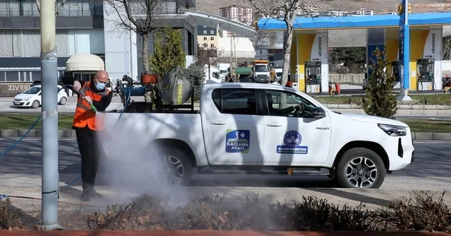 Elazığ ilaçlama çalışmaları başladı Elazığ Haberleri