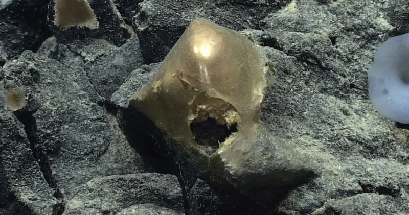 3250 metre derinlikteki altın kürenin sırrı tam 3 yıl sonra çözüldü