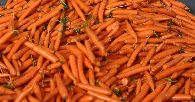 Marketlerde satılan havuçlar geri çağrılıyor: Tüketmeyin çağrısı yapıldı Sözcü Gazetesi