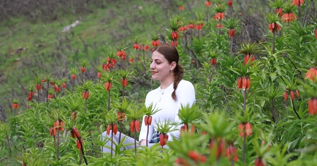 Muş un zirveleri ters lalelerle renklendi Muş Haberleri
