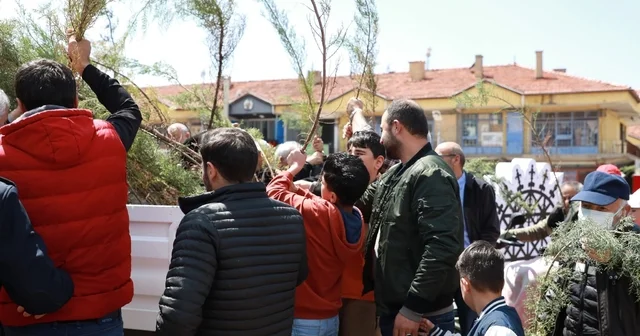 Alaca Belediyesi vatandaşlara 2 bin fidan dağıttı Çorum Haberleri