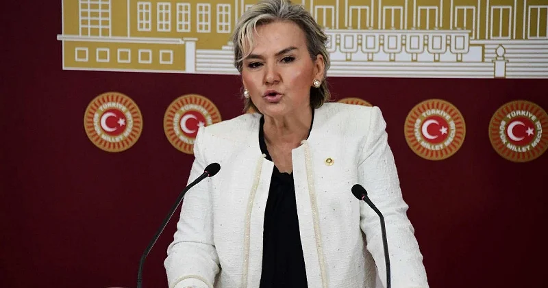 Köpeklerin toplatılması çocukları suça sürüklemiş Gündem Haberleri