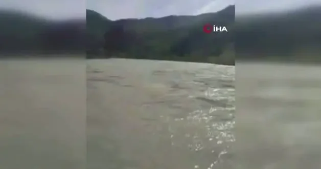 Nehirden balık değil tosun çıktı