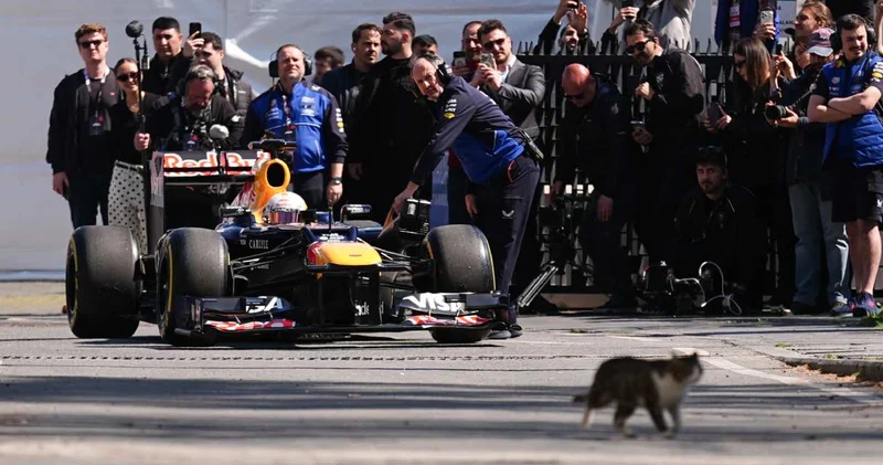 İstanbul u dolaşan Formula 1 aracının startını kedi verdi!