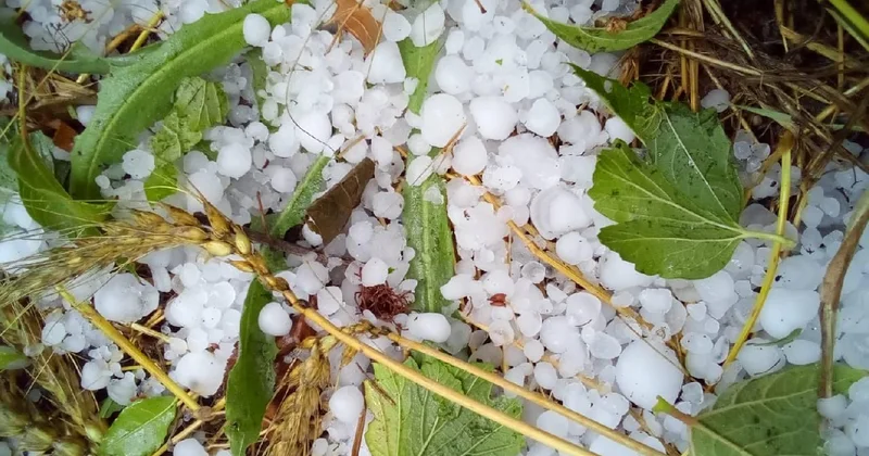 Mayıs ve haziranda dolu riski artıyor