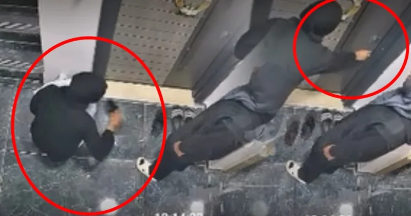 Siirt te bir garip hırsızlık girişimi: Önce ayakkabıyı kokladı, sonra kapıyı açmaya çalıştı Sözcü Gazetesi